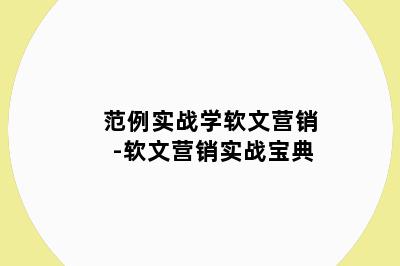 范例实战学软文营销-软文营销实战宝典