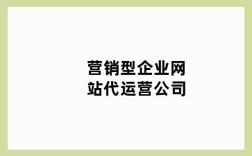 营销型企业网站代运营公司