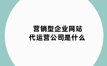 营销型企业网站代运营公司是什么