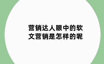 营销达人眼中的软文营销是怎样的呢