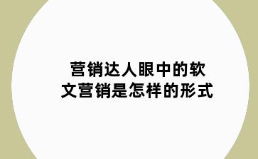 营销达人眼中的软文营销是怎样的形式