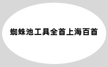 蜘蛛池工具全首上海百首