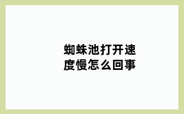 蜘蛛池打开速度慢怎么回事