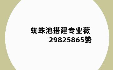 蜘蛛池搭建专业薇29825865赞