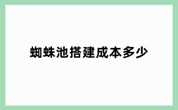 蜘蛛池搭建成本多少