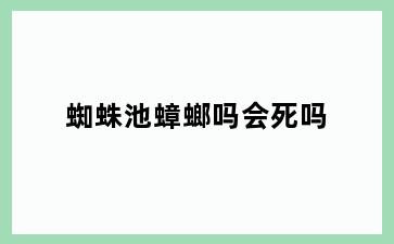 蜘蛛池蟑螂吗会死吗