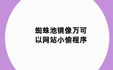 蜘蛛池镜像万可以网站小偷程序