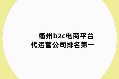 衢州b2c电商平台代运营公司排名第一