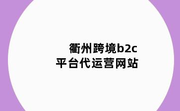 衢州跨境b2c平台代运营网站