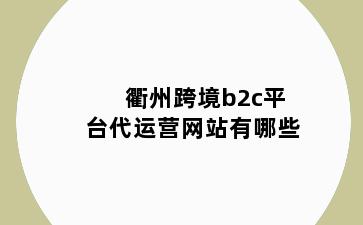 衢州跨境b2c平台代运营网站有哪些