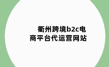 衢州跨境b2c电商平台代运营网站