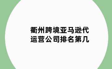 衢州跨境亚马逊代运营公司排名第几