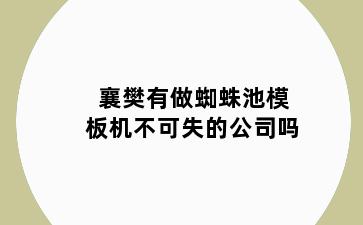 襄樊有做蜘蛛池模板机不可失的公司吗