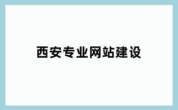 西安专业网站建设