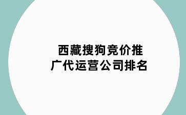 西藏搜狗竞价推广代运营公司排名