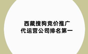 西藏搜狗竞价推广代运营公司排名第一