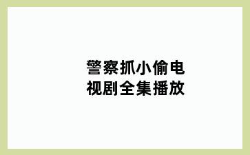 警察抓小偷电视剧全集播放