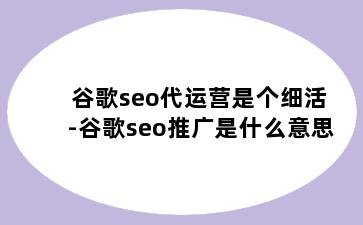 谷歌seo代运营是个细活-谷歌seo推广是什么意思