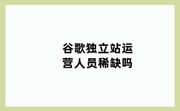 谷歌独立站运营人员稀缺吗