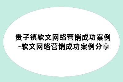 贵子镇软文网络营销成功案例-软文网络营销成功案例分享