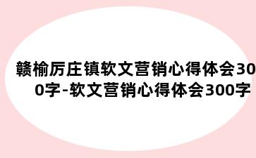 赣榆厉庄镇软文营销心得体会300字-软文营销心得体会300字