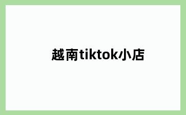 越南tiktok小店