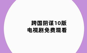 跨国阴谋10版电视剧免费观看