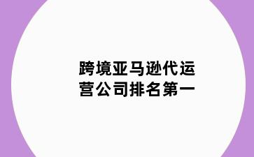 跨境亚马逊代运营公司排名第一