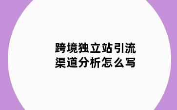 跨境独立站引流渠道分析怎么写