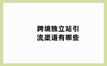 跨境独立站引流渠道有哪些