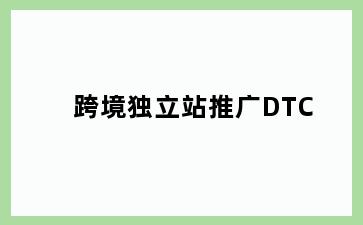 跨境独立站推广DTC