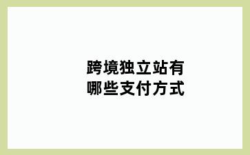 跨境独立站有哪些支付方式