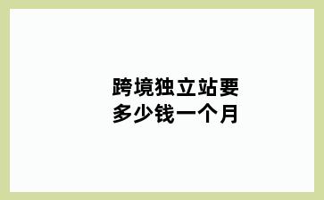 跨境独立站要多少钱一个月