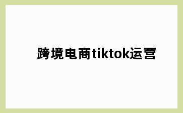 跨境电商tiktok运营