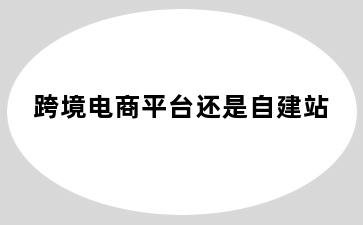 跨境电商平台还是自建站