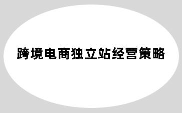 跨境电商独立站经营策略