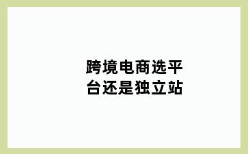 跨境电商选平台还是独立站