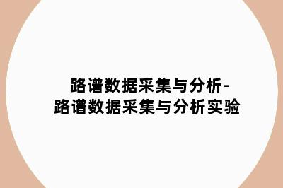 路谱数据采集与分析-路谱数据采集与分析实验