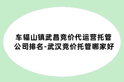 车辐山镇武昌竞价代运营托管公司排名-武汉竞价托管哪家好