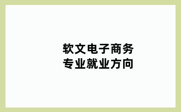 软文电子商务专业就业方向