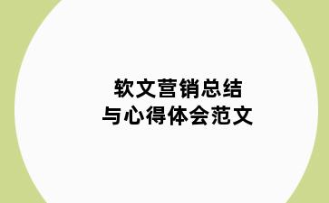 软文营销总结与心得体会范文