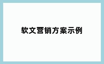 软文营销方案示例