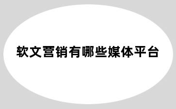 软文营销有哪些媒体平台