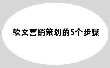 软文营销策划的5个步骤