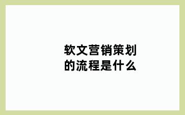 软文营销策划的流程是什么