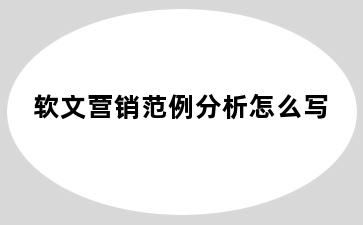 软文营销范例分析怎么写