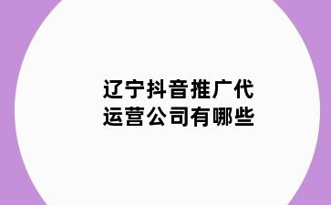 辽宁抖音推广代运营公司有哪些