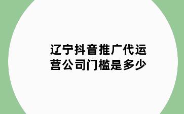 辽宁抖音推广代运营公司门槛是多少