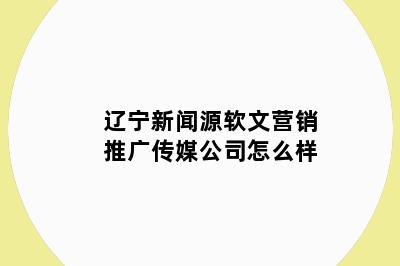 辽宁新闻源软文营销推广传媒公司怎么样