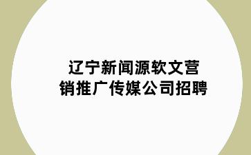 辽宁新闻源软文营销推广传媒公司招聘